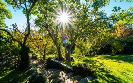 Escaleras desde la zona de aparcamiento hasta la propiedad 
